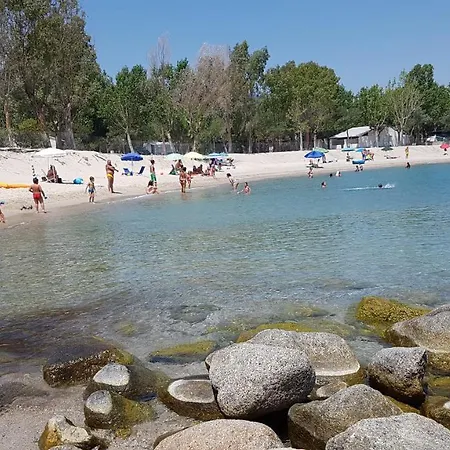 Mimosa * Isca sullo Ionio