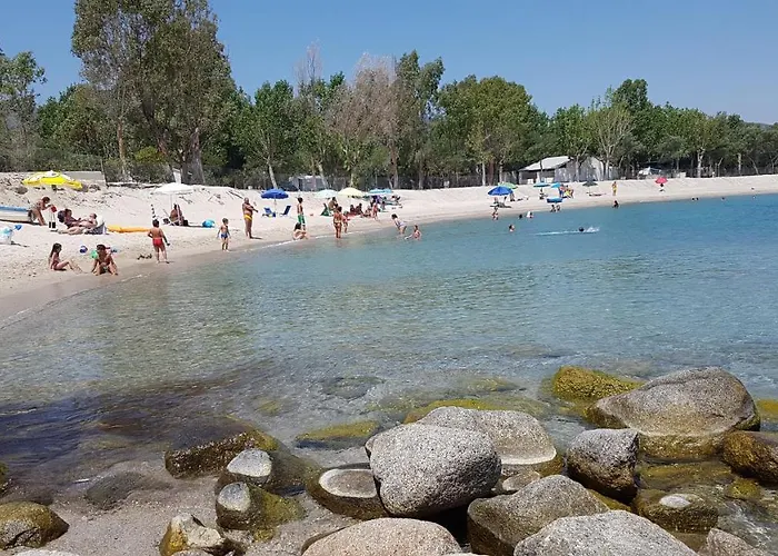 Mimosa * Isca sullo Ionio