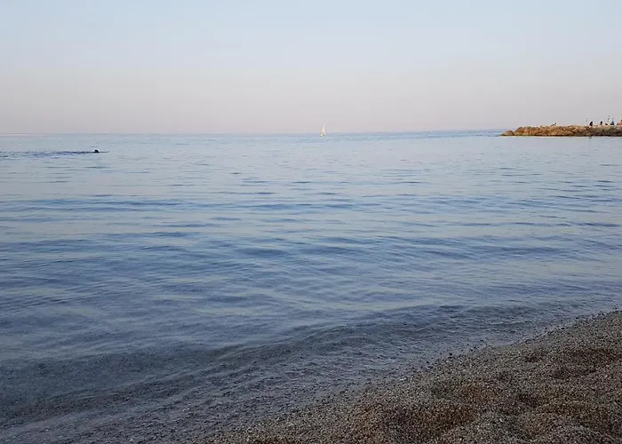 Mimosa Parque de Campismo *